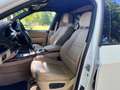 BMW X5 XDRIVE40D | Grijskenteken | Leder + Navi | Wit - thumbnail 13
