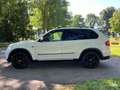 BMW X5 XDRIVE40D | Grijskenteken | Leder + Navi | Wit - thumbnail 6