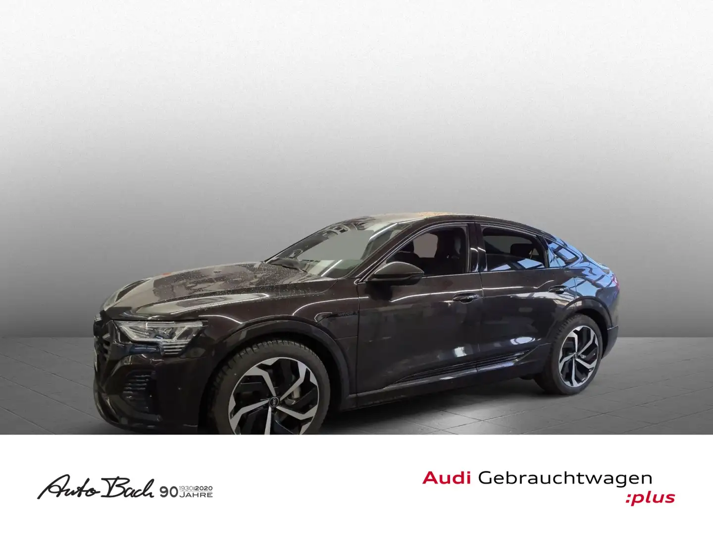 Audi Q8 e-tron S line Standklima Luftfederu Braun - 1