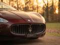 Maserati GranTurismo 4.7 S | Comfort Pack | Bordeaux Pontevecchio crvena - thumbnail 12