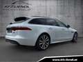 Jaguar XF 20 D Sportbrake Portfolio AWD Weiß - thumbnail 4