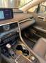 Lexus RX 450h 3.5 Executive 263cv cvt Grigio - thumbnail 5