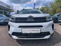 Citroen C5 Aircross BlueHDI 130 S&S EAT8 MAX Vorführwagen Blanc - thumbnail 5