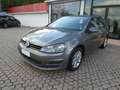 Volkswagen Golf Golf Variant 1.6 TDI 105 CV DSG Comfortline ok neo Gris - thumbnail 3