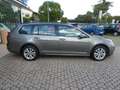 Volkswagen Golf Golf Variant 1.6 TDI 105 CV DSG Comfortline ok neo Gris - thumbnail 5