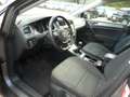 Volkswagen Golf Golf Variant 1.6 TDI 105 CV DSG Comfortline ok neo Gris - thumbnail 15