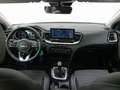 Kia Ceed / cee'd 1.0 T-GDI Concept Blanco - thumbnail 15