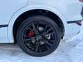 Audi Q6 e-tron Advanced edition 100 kWh FABRIEKSGARANTIE| BANG & Blanc - thumbnail 32