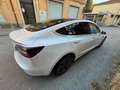 Tesla Model 3 Standard RWD Plus"ProMMo" Bianco - thumbnail 5
