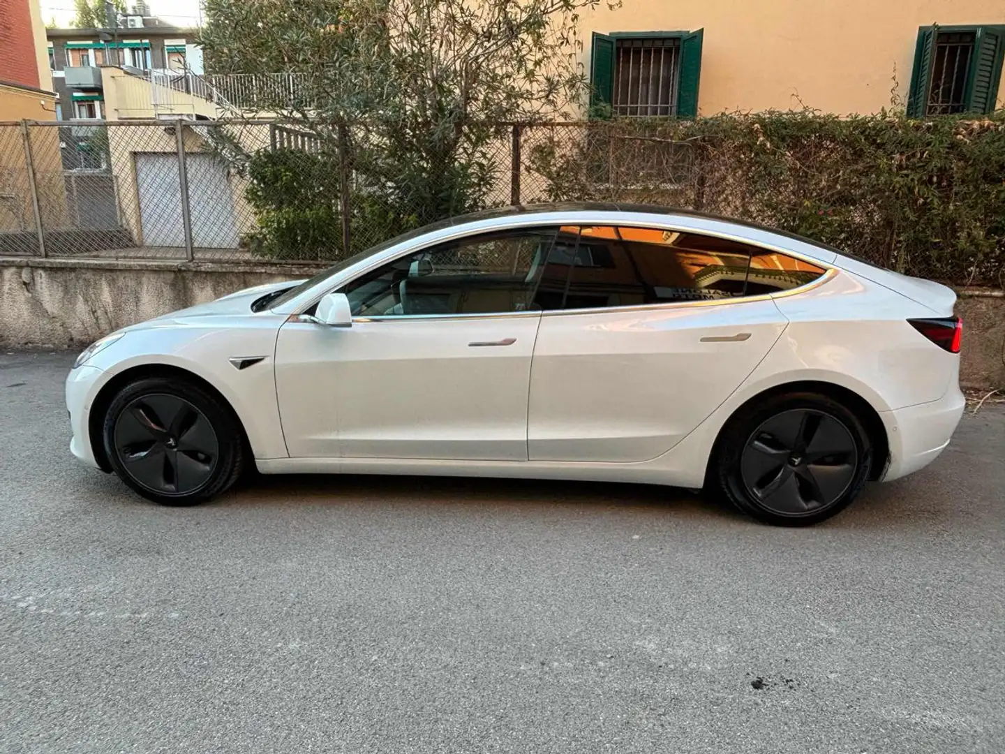 Tesla Model 3 Standard RWD Plus"ProMMo" Bianco - 2
