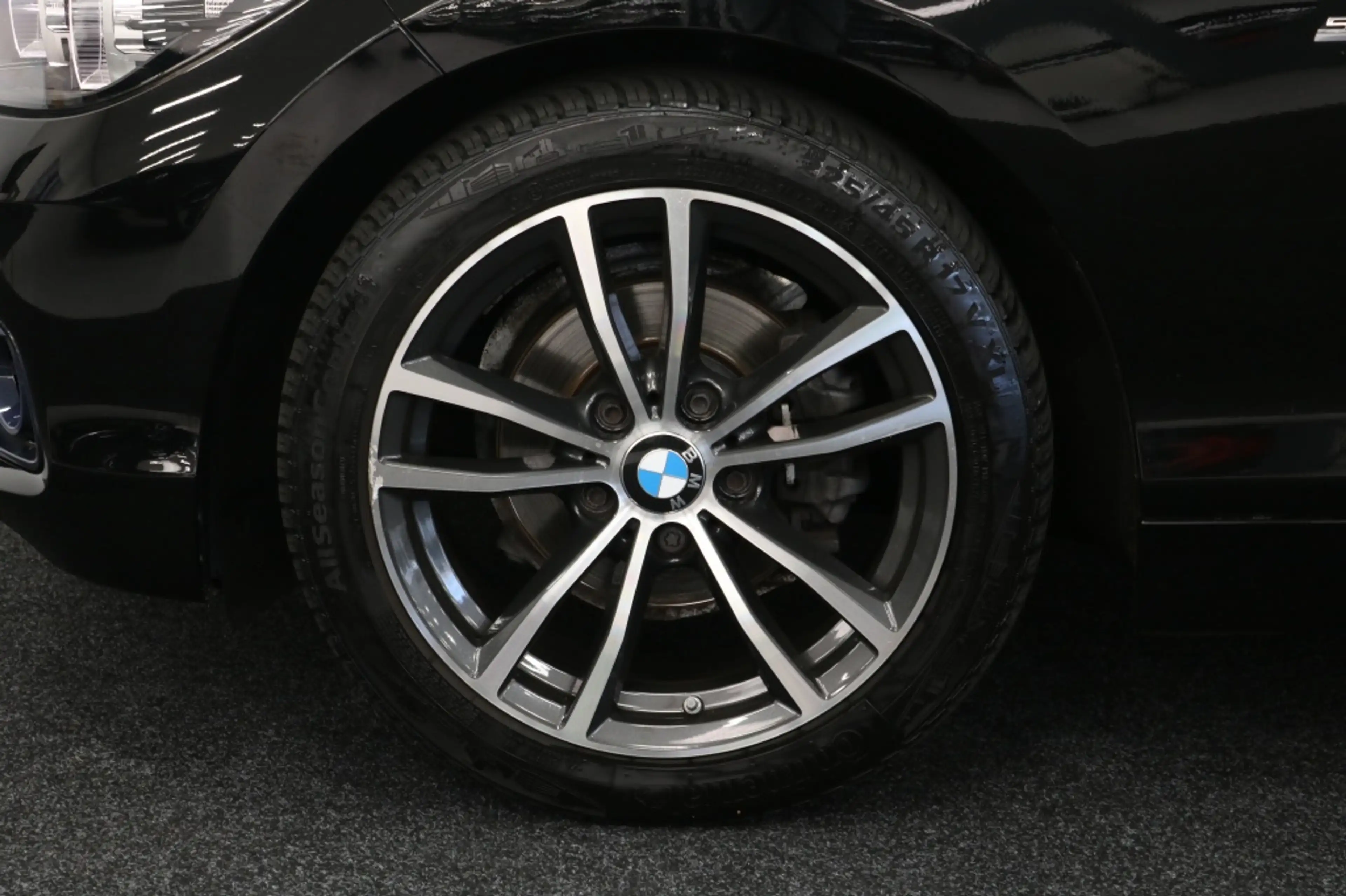 BMW 116 1-serie 116i Edition Sport Line Shadow Executive — photo 11