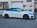 Mercedes-Benz E 250 CABRIO AMG FACELIFT 7-G EURO 6 TÜV NEU Weiß - thumbnail 5