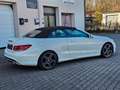 Mercedes-Benz E 250 CABRIO AMG FACELIFT 7-G EURO 6 TÜV NEU Weiß - thumbnail 6