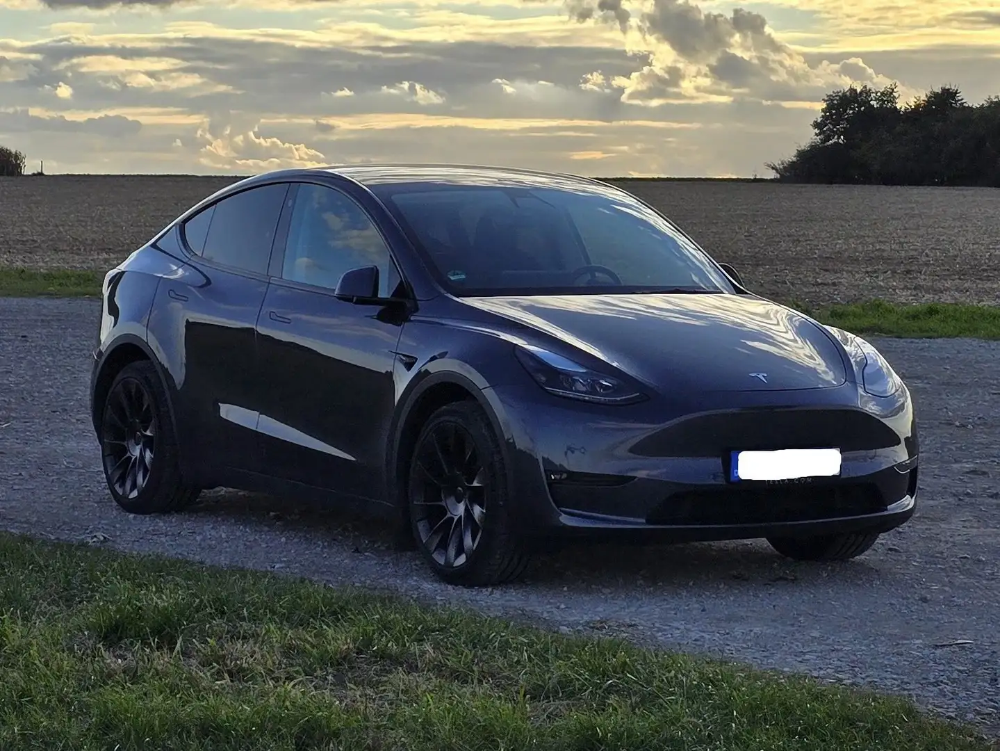 Tesla Model Y Model Y Long Range / DualMotor+AHK+20' Induction Grau - 2