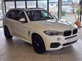 BMW X5 30d M-Paket *Durchgehend Scheckheftgepflegt,7Sitz* Weiß - thumbnail 6