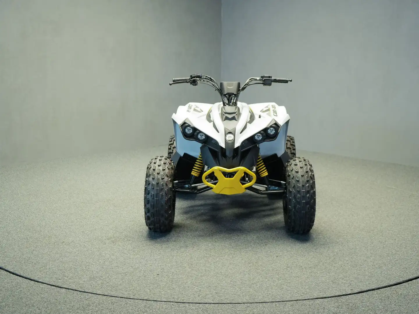 Can-Am Renegade 110 STD | keine Xxc DS 90 Kinderquad Gri - 2