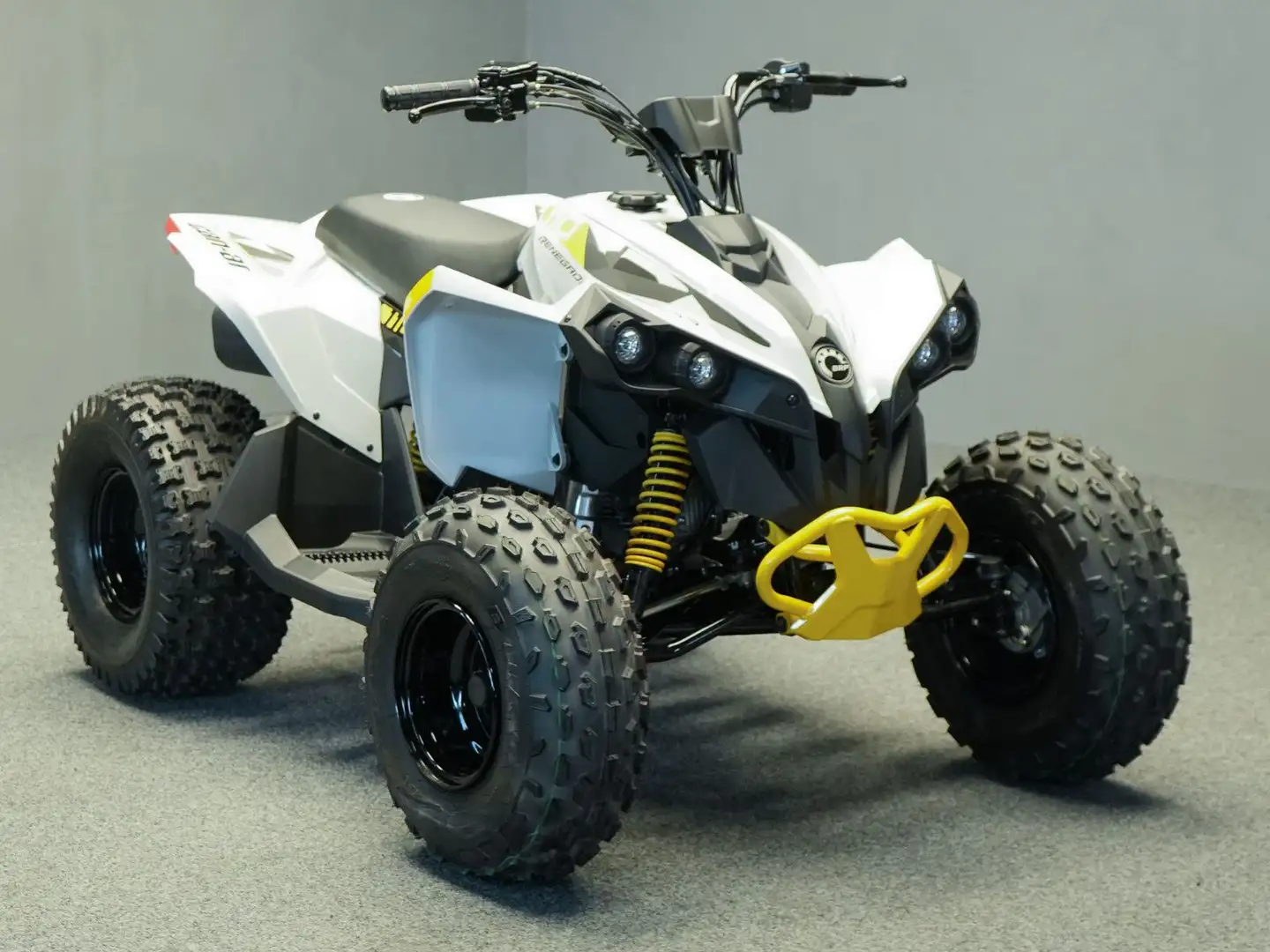 Can-Am Renegade 110 STD | keine Xxc DS 90 Kinderquad Gri - 1