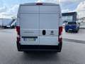 Fiat Ducato 2.3MJT MH2 Furgone E6D 140cv3000x1810xx1930 kg1197 Bílá - thumbnail 6