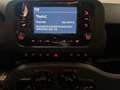 Fiat Panda 1.0 Hybrid 70cv Radio Bluetooth 36 Rate da 177,95 Grigio - thumbnail 12