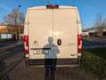 Citroen Jumper Grossraumkasten 33 L2H2 PROLINE BlueHDi 1 Weiß - thumbnail 12