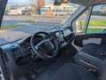 Citroen Jumper Grossraumkasten 33 L2H2 PROLINE BlueHDi 1 Weiß - thumbnail 18