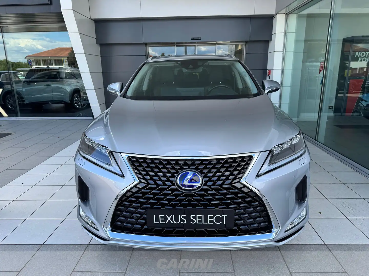 Lexus RX 450h 450h 3.5 executive cvt Grigio - 2