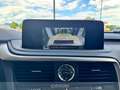 Lexus RX 450h 450h 3.5 executive cvt Grigio - thumbnail 13