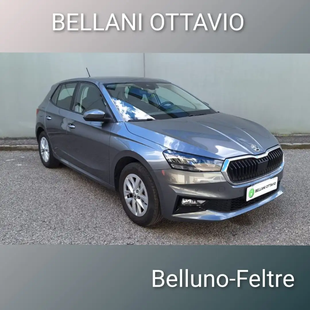 Skoda Fabia 1.0 MPI EVO 80 CV Selection Grijs - 1