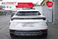 Lamborghini Urus Lamborghini Urus 4.0 Iva Esposta Unicoproprietario Bianco - thumbnail 8