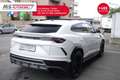 Lamborghini Urus Lamborghini Urus 4.0 Iva Esposta Unicoproprietario Bianco - thumbnail 14