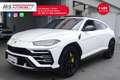 Lamborghini Urus Lamborghini Urus 4.0 Iva Esposta Unicoproprietario Bianco - thumbnail 12