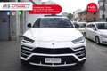 Lamborghini Urus Lamborghini Urus 4.0 Iva Esposta Unicoproprietario Bianco - thumbnail 10