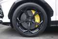 Lamborghini Urus Lamborghini Urus 4.0 Iva Esposta Unicoproprietario Bianco - thumbnail 5