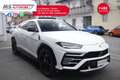 Lamborghini Urus Lamborghini Urus 4.0 Iva Esposta Unicoproprietario Bianco - thumbnail 1
