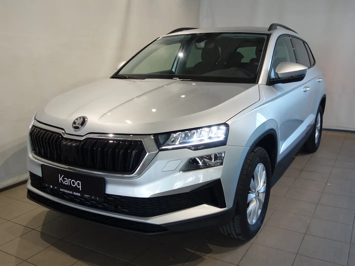 Skoda Karoq 4x4 Selection TDI DSG Grau - 1