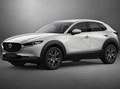 Mazda CX-30 HOMURA 122CV  my 24 KM ZERO Wit - thumbnail 8