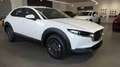 Mazda CX-30 HOMURA 122CV  my 24 KM ZERO Blanc - thumbnail 2