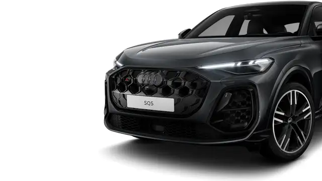Audi SQ5 view 6
