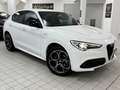 Alfa Romeo Stelvio 2.2 TD 210 CV VELOCE AT8 Q4 DISTRIBUZIONE ESEGUITA Bianco - thumbnail 2