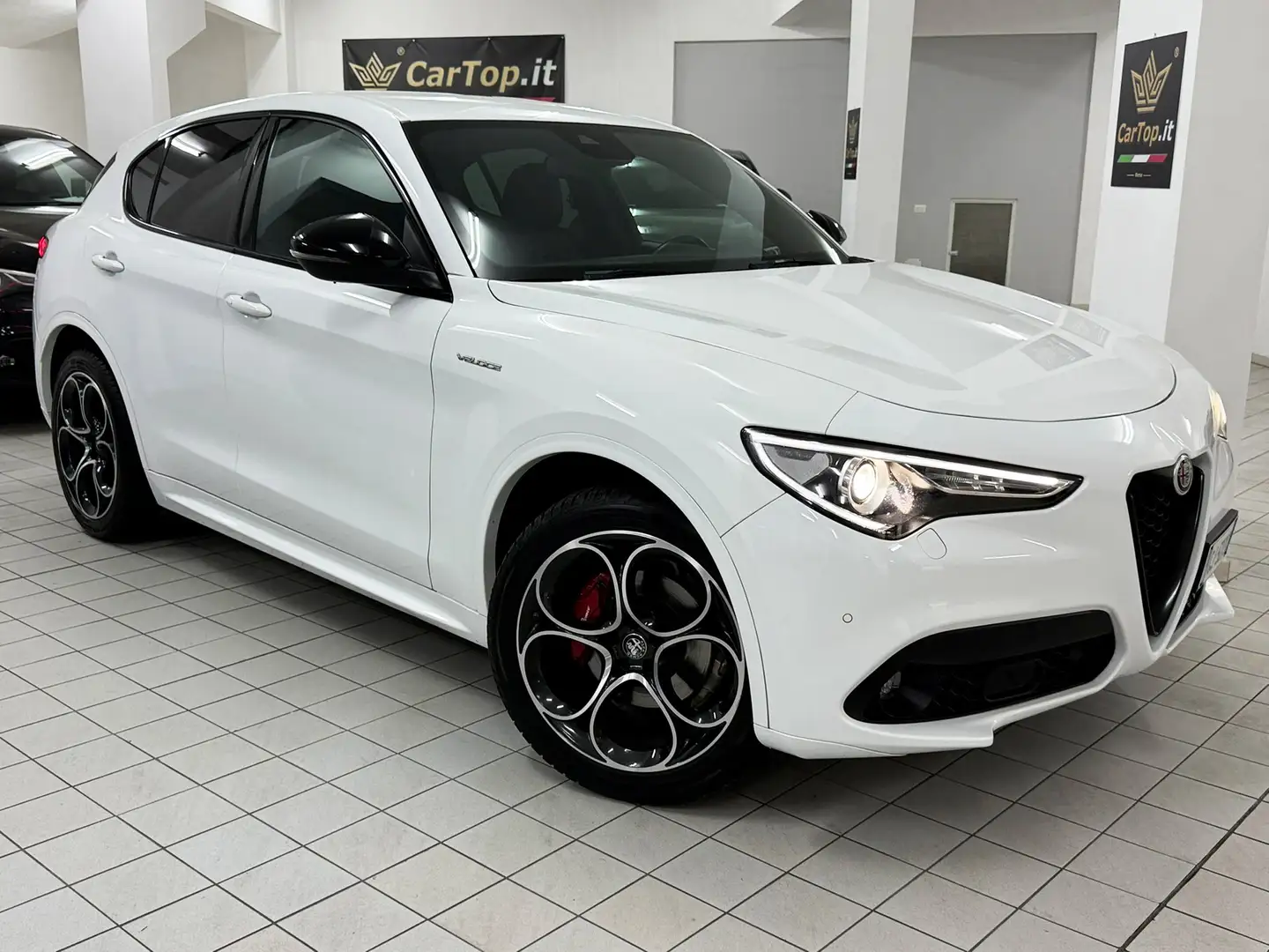 Alfa Romeo Stelvio 2.2 TD 210 CV VELOCE AT8 Q4 DISTRIBUZIONE ESEGUITA Bianco - 2