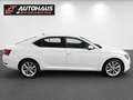Skoda Superb 1,6 TDI Style | PICKERL BIS 06/2027 | Weiß - thumbnail 5