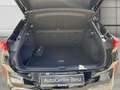 CUPRA Terramar VZ 2.0 TSI DSG 4DRIVE*M-LED*20Z*HEAD-UP Klima Noir - thumbnail 9
