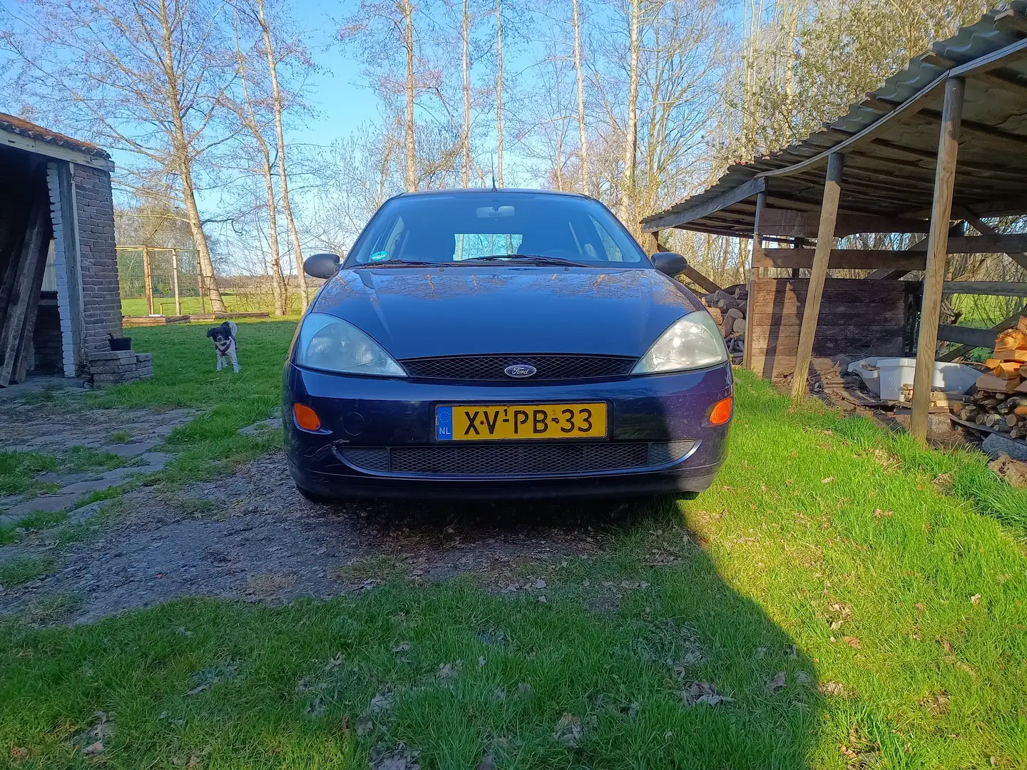 Ford Focus Focus 1.6-16V Trend Синий - 2