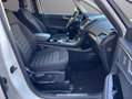 Ford Galaxy Galaxy 2,0 EcoBlue*7 SITZE*RFK*KEYLESS*GARANTIE Weiß - thumbnail 19
