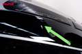 Benelli Leoncino - thumbnail 13