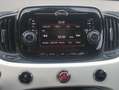 Fiat 500 500 III 1.0 hybrid Cult 70cv Bianco - thumbnail 9