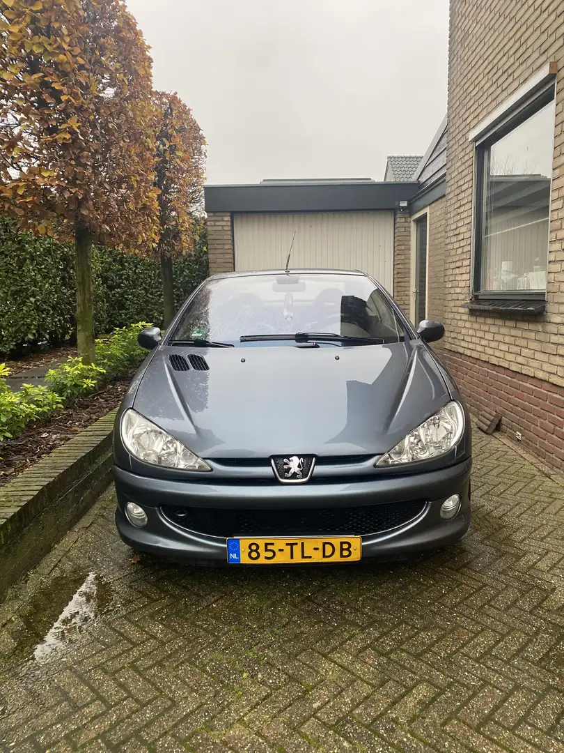 Peugeot 206 2.0-16V Griffe Grijs - 1