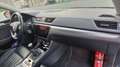 Skoda Superb Superb SW 1.6 CR TDi GreenLine Corporate Edition Vert - thumbnail 13