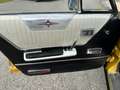 Chrysler 300C 300 L / Pickerl NEU / Gold - thumbnail 18