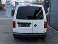 Volkswagen Caddy Nfz Maxi Kasten BMT 2.0 TDI *AHK*REGAL Blanco - thumbnail 5